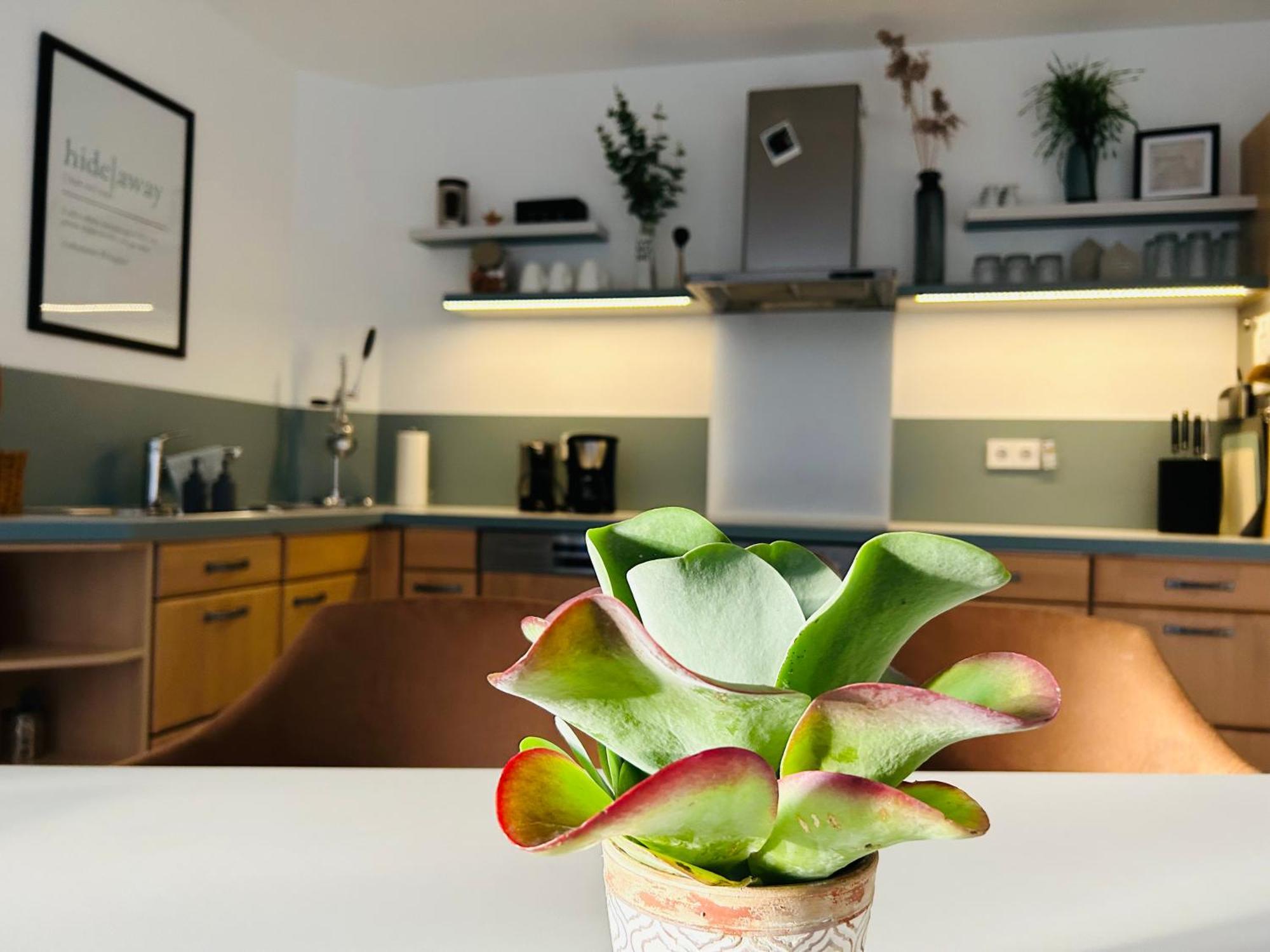 137Hideaway Ferienwohnung Eichstaett المظهر الخارجي الصورة